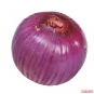 紫洋蔥